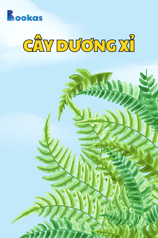 Cây Dương Xỉ - (Trích: Tâm Của Ta Ở Đâu, Hạnh Phúc Của Ta Ở Đó)