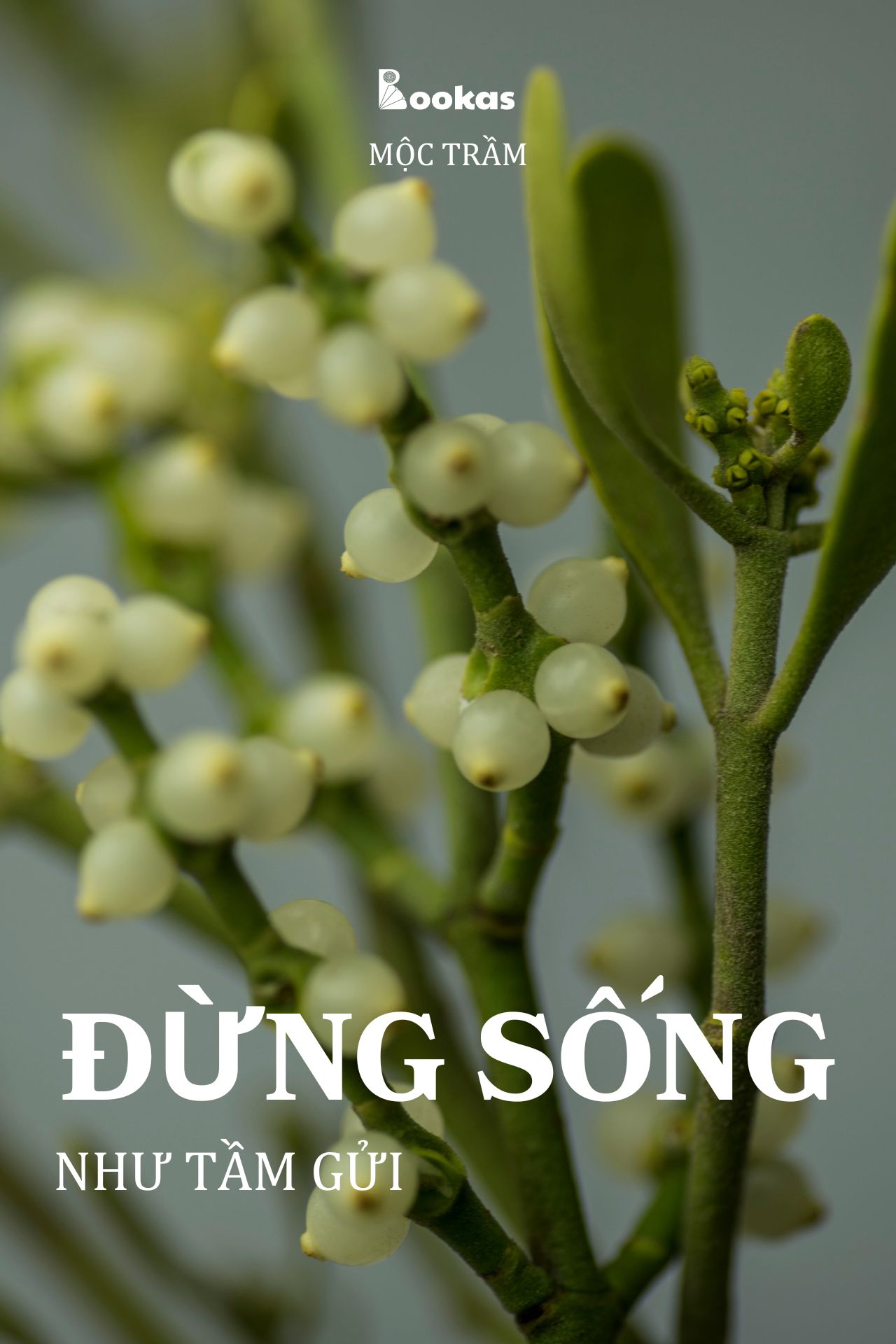 Đừng Sống Như Tầm Gửi - (Trích: Dẫu Có Ra Đi Vẫn Sẽ Cười)