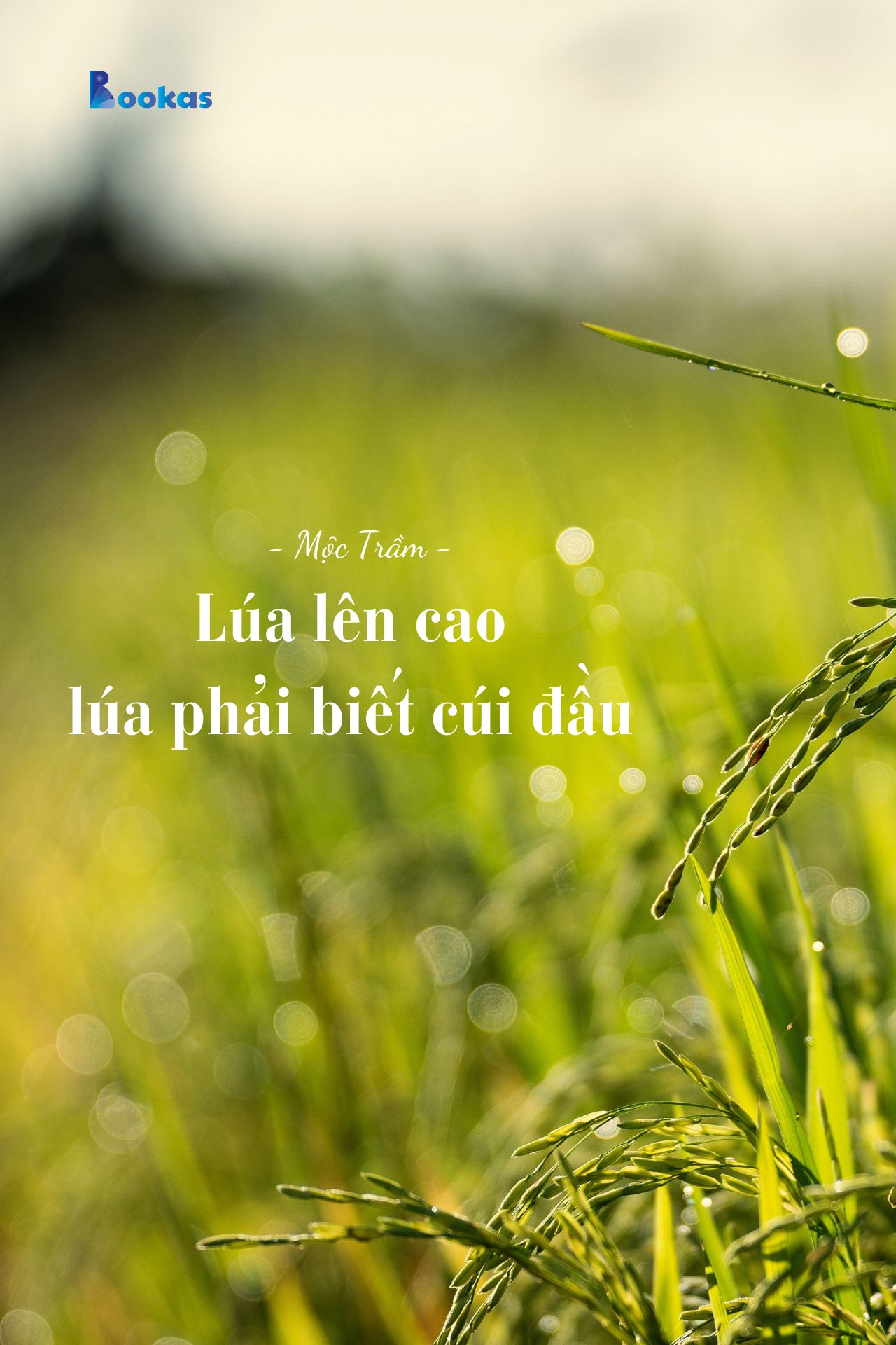 Lúa Lên Cao, Lúa Phải Biết Cúi Đầu - (Trích: Dẫu Có Ra Đi Vẫn Sẽ Cười)