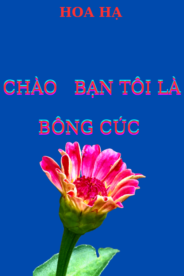 Chào Bạn Tôi Là Bông Cúc