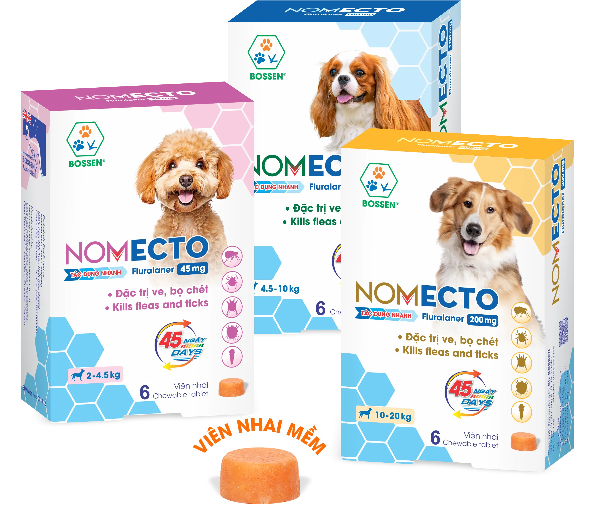 Hình ảnh sản phẩm