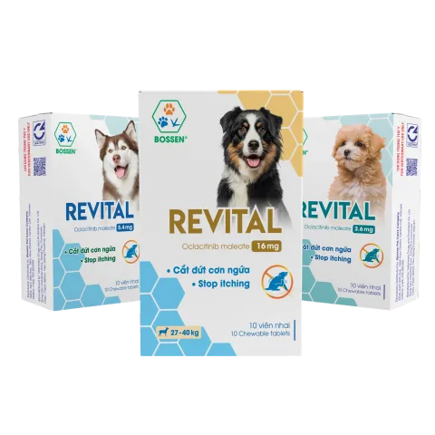 Hình ảnh sản phẩm