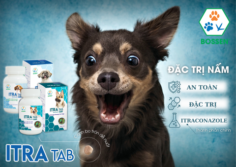 Hình ảnh sản phẩm