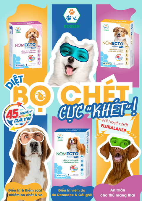 Hình ảnh sản phẩm