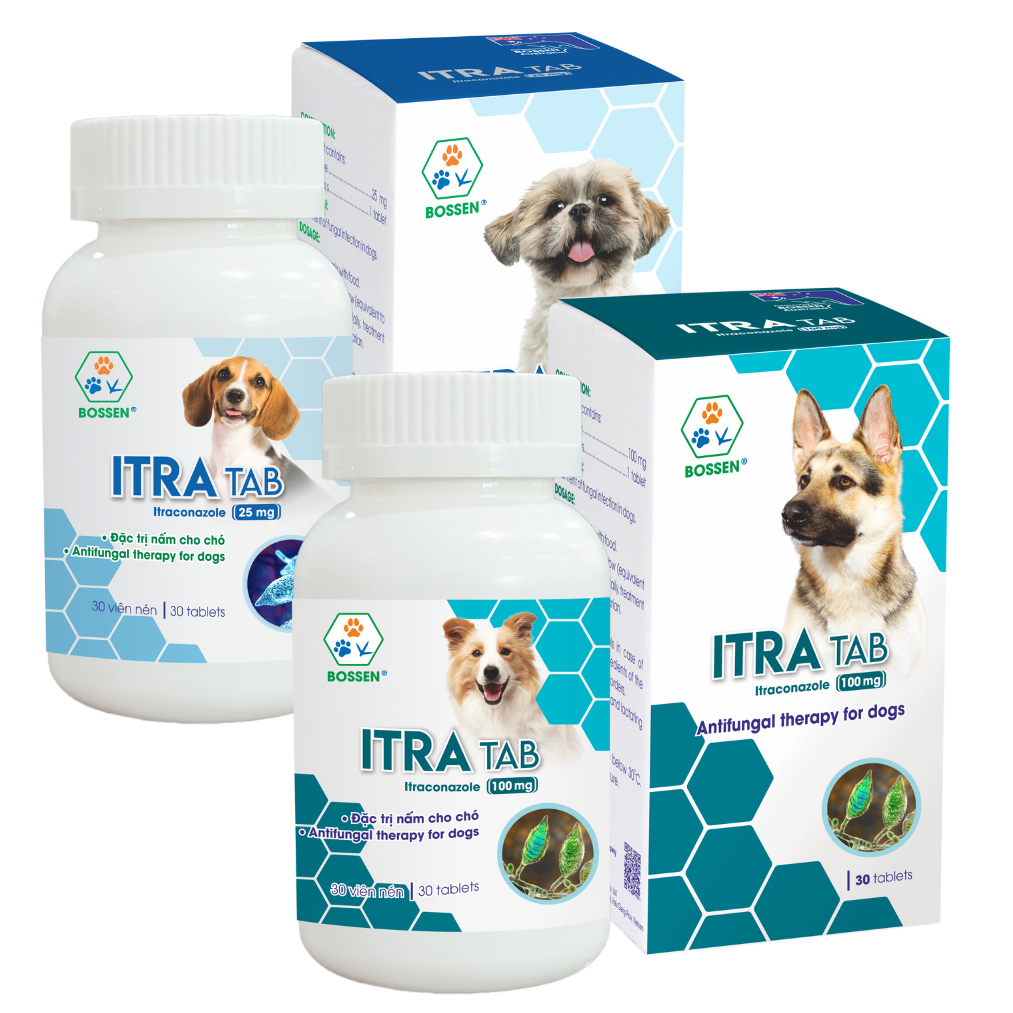 Sản phẩm Bossen undefined