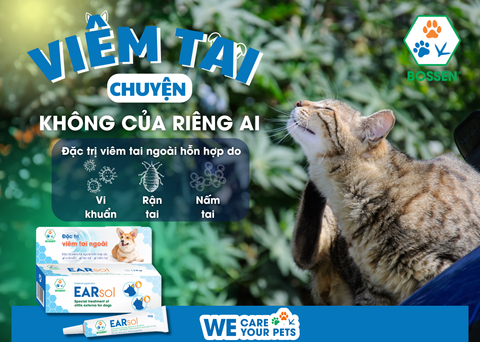 Hình ảnh sản phẩm