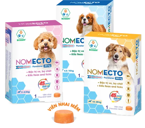 Hình ảnh sản phẩm