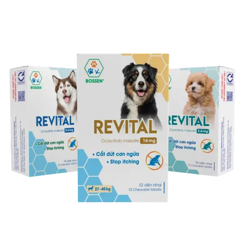 Hình ảnh sản phẩm