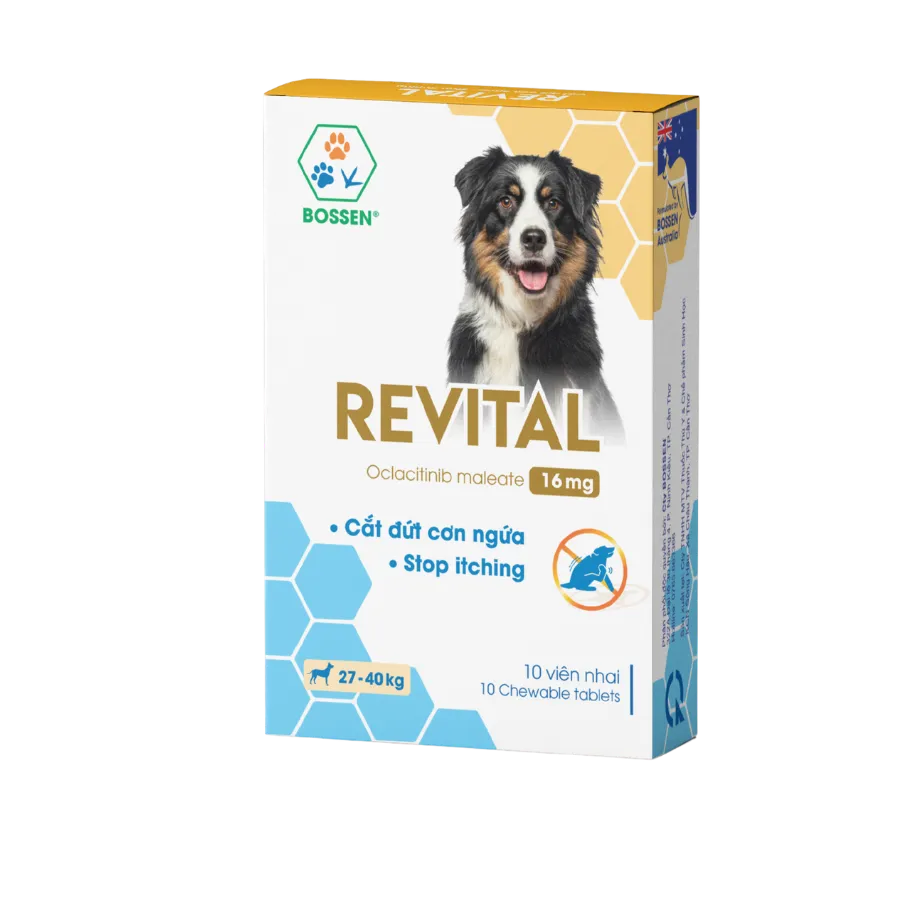 Hình ảnh sản phẩm