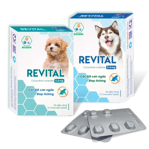 Hình ảnh sản phẩm