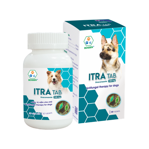 Hình ảnh sản phẩm