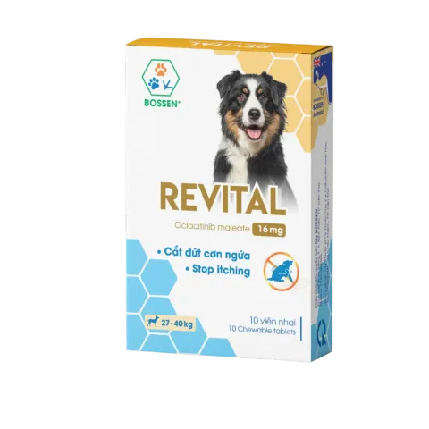 Hình ảnh sản phẩm