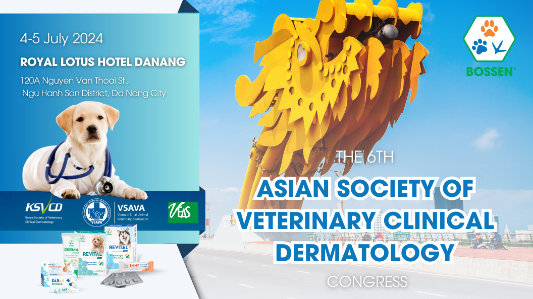 Hình ảnh bài viết