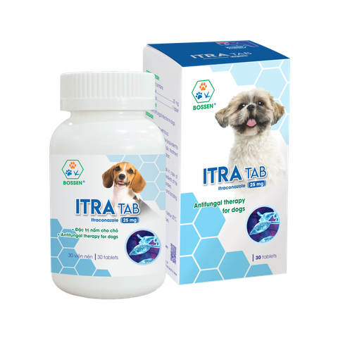 Hình ảnh sản phẩm