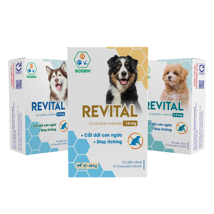 Sản phẩm Bossen undefined