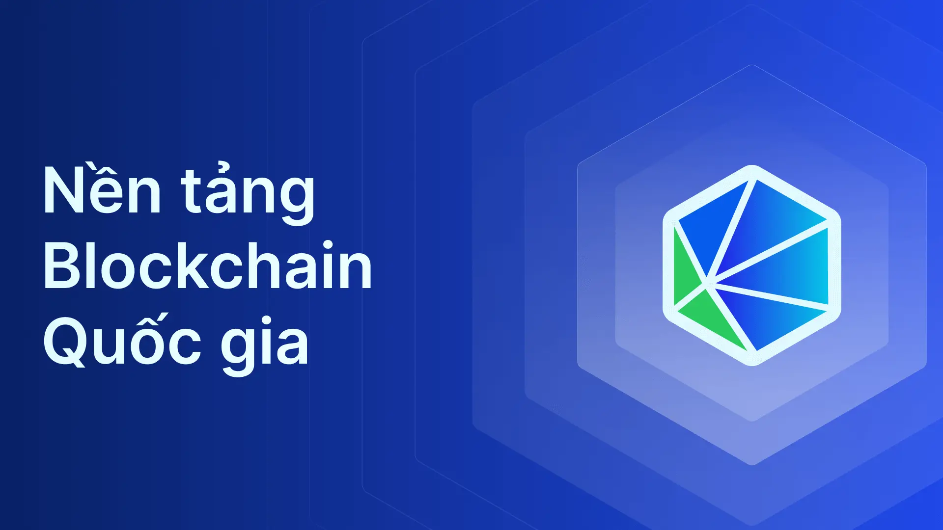 ndachain.vn