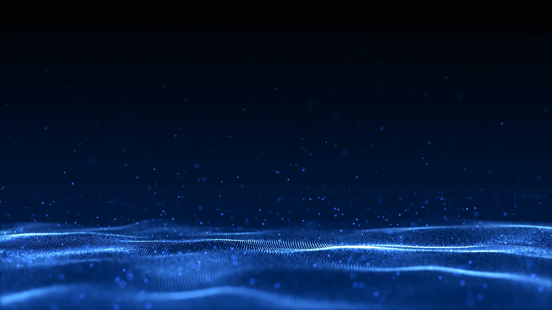 ndachain.vn