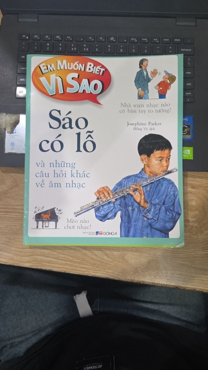 Sách Em Muốn Biết Vì Sao Sáo Có Lỗ Và Những Câu Hỏi Khác Về Âm Nhạc