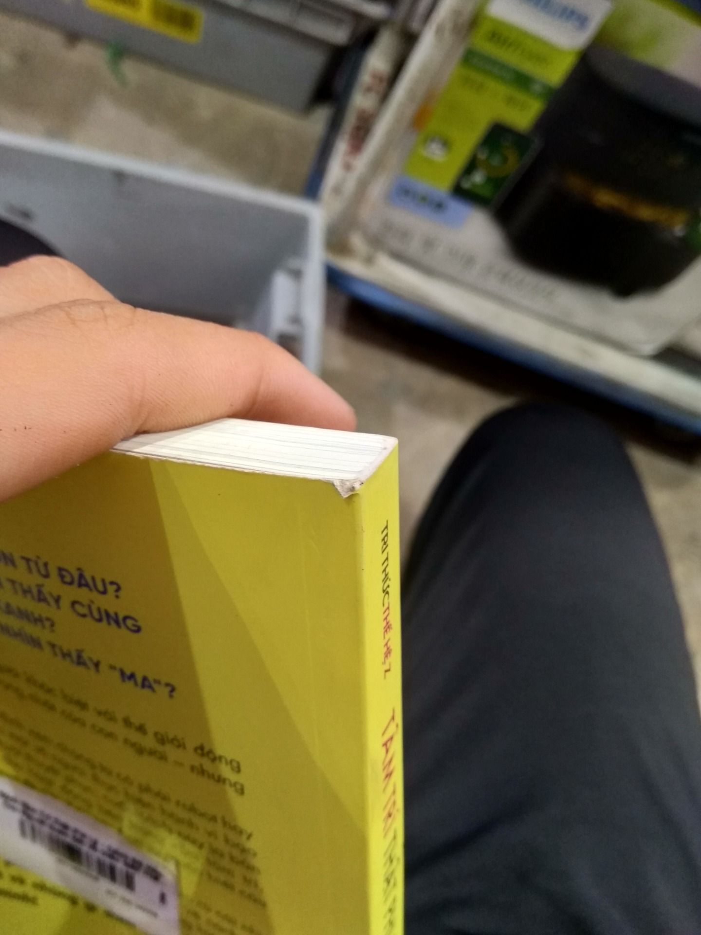 Sách Tâm Trí Thật Phi Lý - Cách Bộ Não Con Người Quan Sát Và Diễn Giải Thế Giới