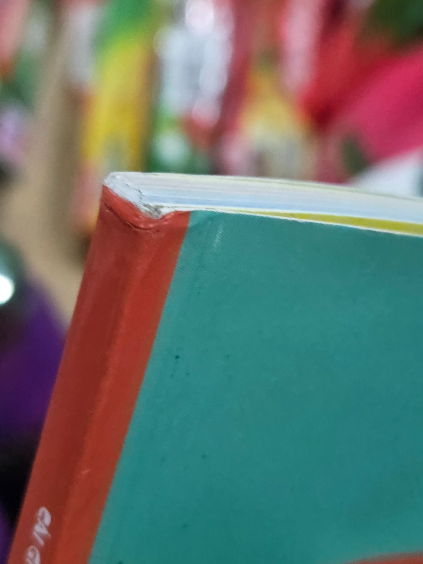 Cuốn Sách Tranh Đầu Tiên Về Những Điều Kỳ Lạ (Ehon Nhật Bản)