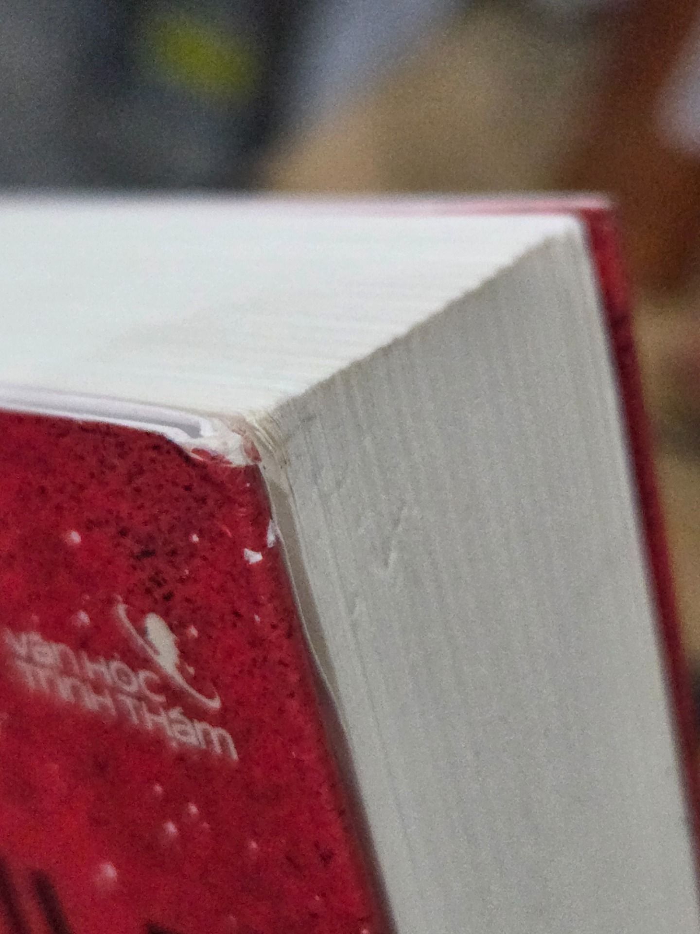 Sách Người Hạt Dẻ