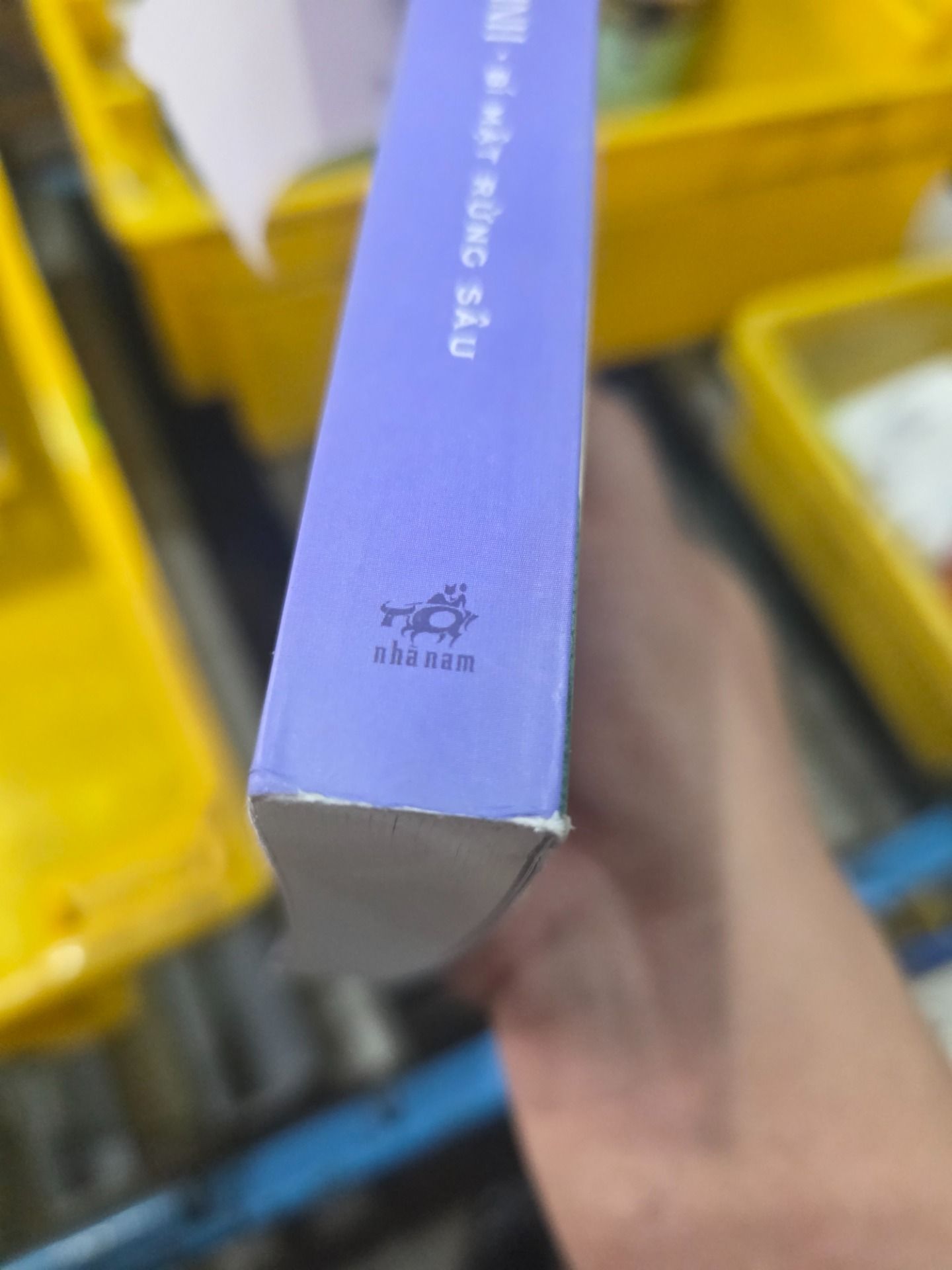 Sách Mèo Chiến Binh - Bí Mật Rừng Sâu