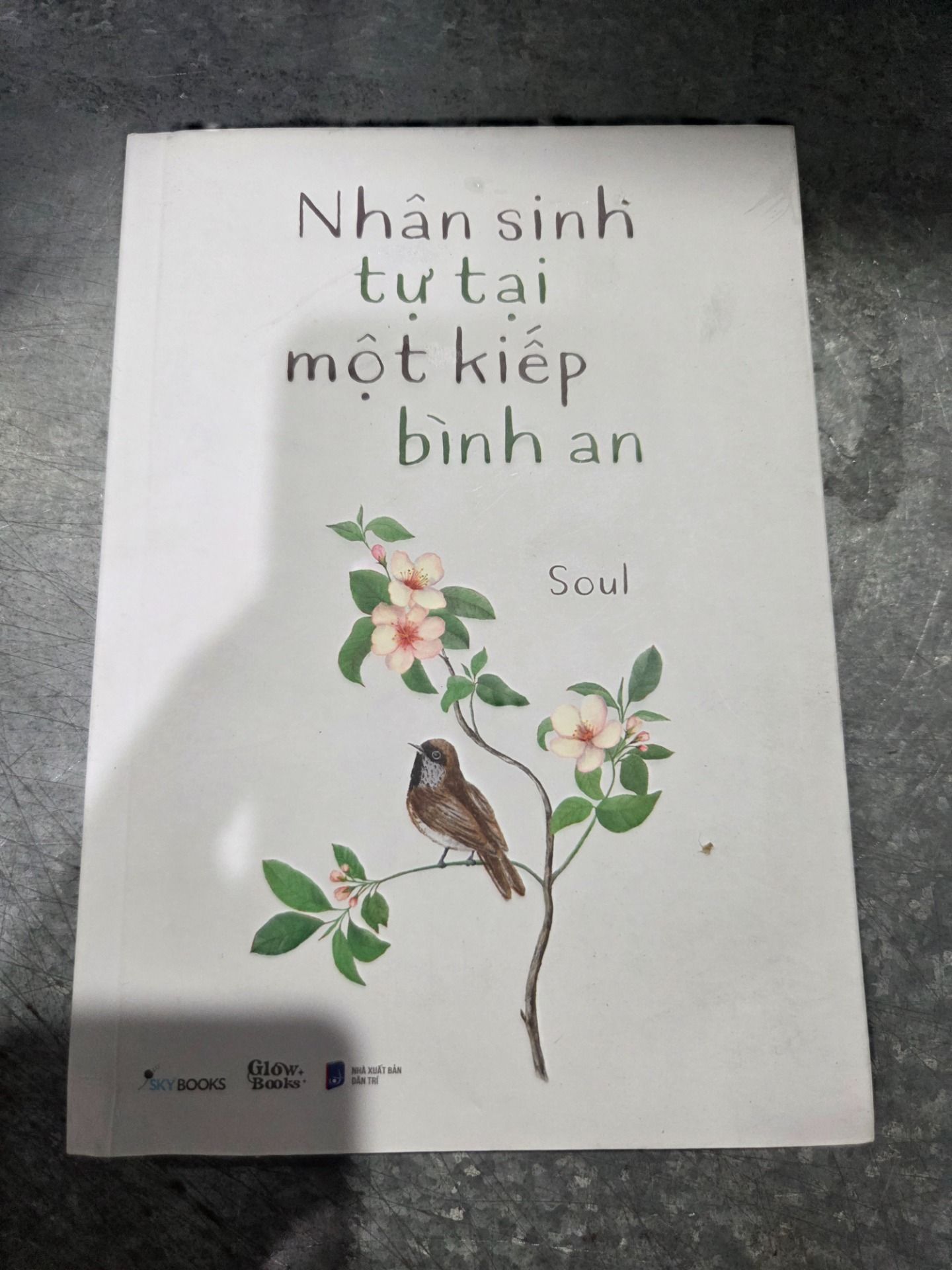 Sách Nhân Sinh Tự Tại Một Kiếp Bình An