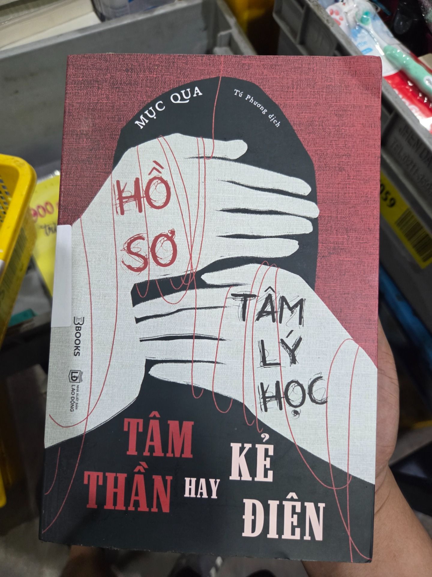 Sách Hồ Sơ Tâm Lý Học Tâm Thần Hay Kẻ Điên