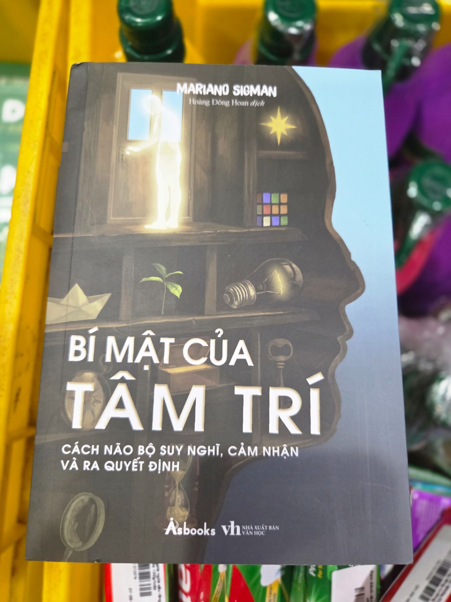 Sách Bí Mật Của Tâm Trí - Cách Não Bộ Suy Nghĩ, Cảm Nhận Và Ra Quyết Định